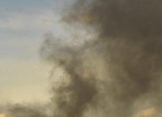 Incendio Vicopisano, Petrucci (FdI): subito Ministero su rischi ambientali incendio vicopisano ministero ambiente diego petrucci consigliere regionale fratelli d'italia