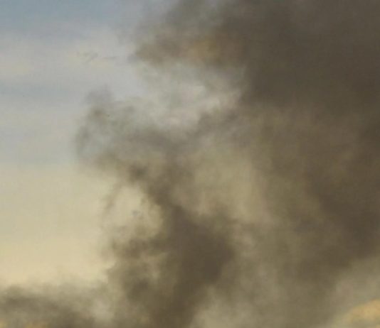 Incendio Vicopisano, Petrucci (FdI): subito Ministero su rischi ambientali incendio vicopisano ministero ambiente diego petrucci consigliere regionale fratelli d'italia