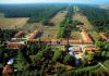 San Rossore, Petrucci (FdI): “I fondi che dovrebbero spettare alla Tenuta finiscono nel guazzabuglio del bilancio regionale? Interrogazione a Giani”