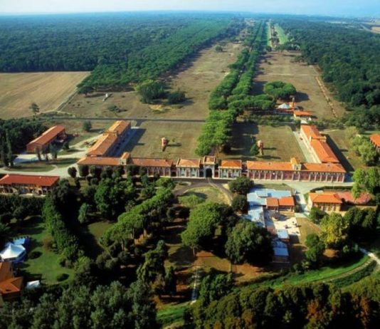 San Rossore, Petrucci (FdI): “I fondi che dovrebbero spettare alla Tenuta finiscono nel guazzabuglio del bilancio regionale? Interrogazione a Giani”