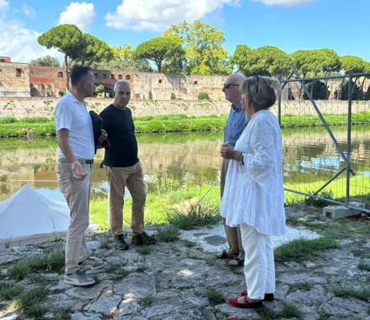 Sopralluogo ai platani di Lungarno Buozzi, “Sostituire gli alberi malati per preservare l’identità e il paesaggio del lungarno”